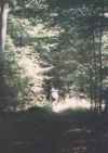 Wald