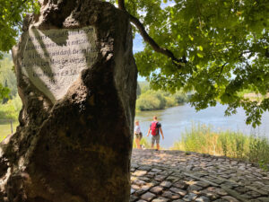 Der Weserstein mit Inschrift im Schatten eines Baumes, im Hintergrund der Fluss