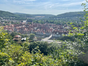 Tiefblick auf die Altstadt von Hann. Münden