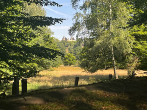 Aussicht aus Waldschatten über eine Wiese auf die Türme und Dächer eines Schlosses hinter weiteren Bäumen