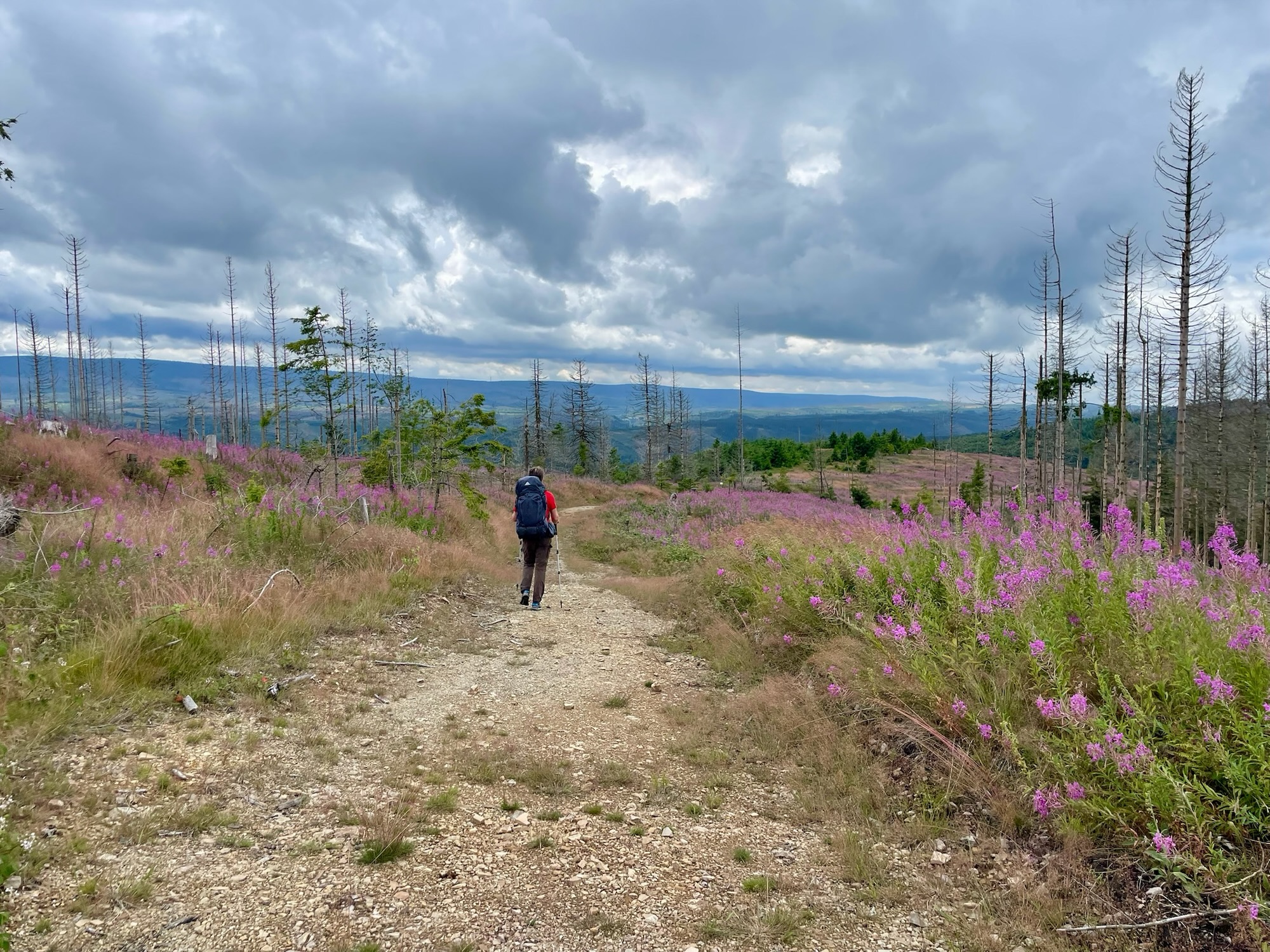 Tag 8 des Wanderabenteuers