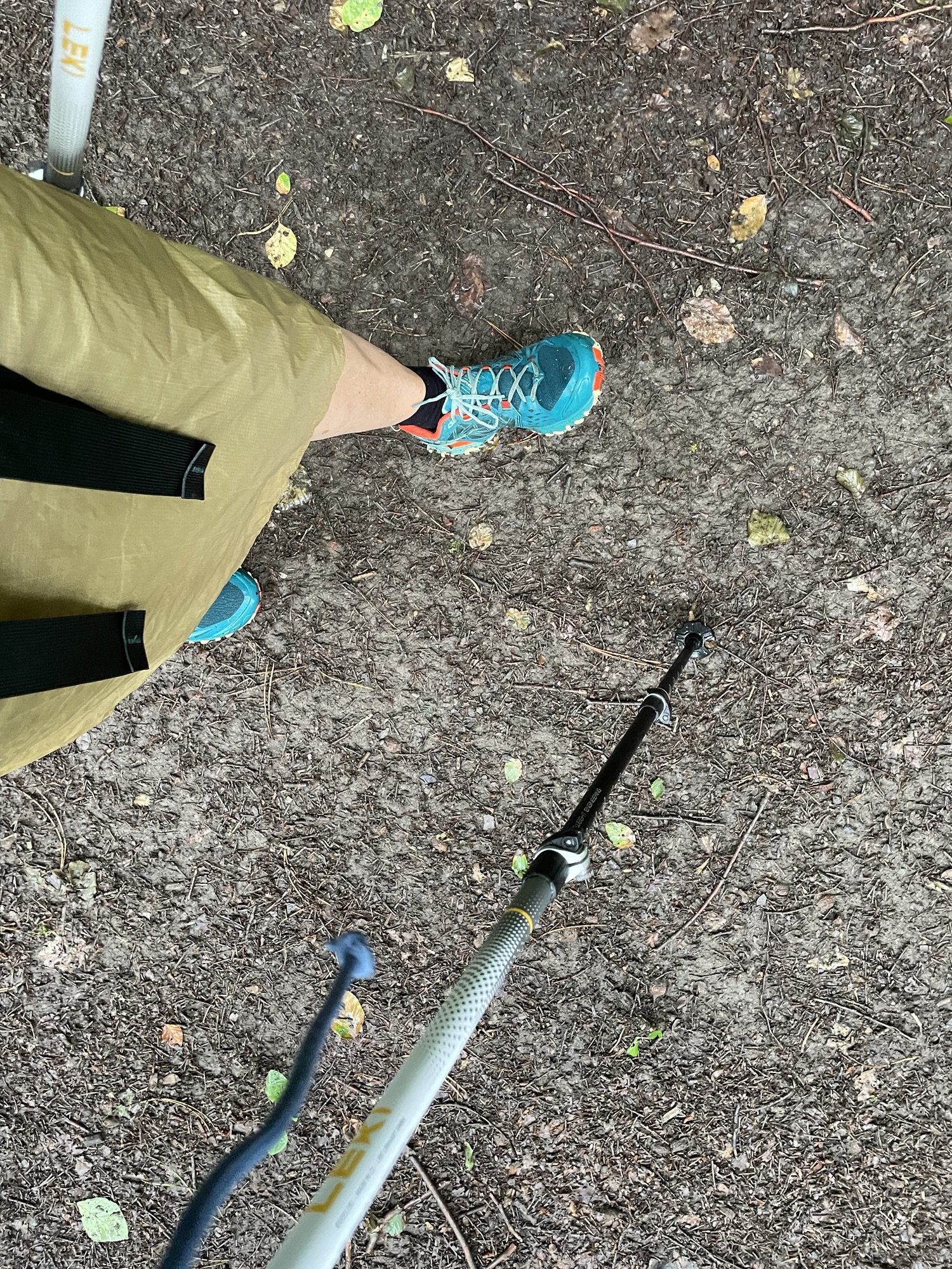 Brittas Weg-Gedanken