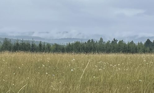 Brittas Wasserkreislauf