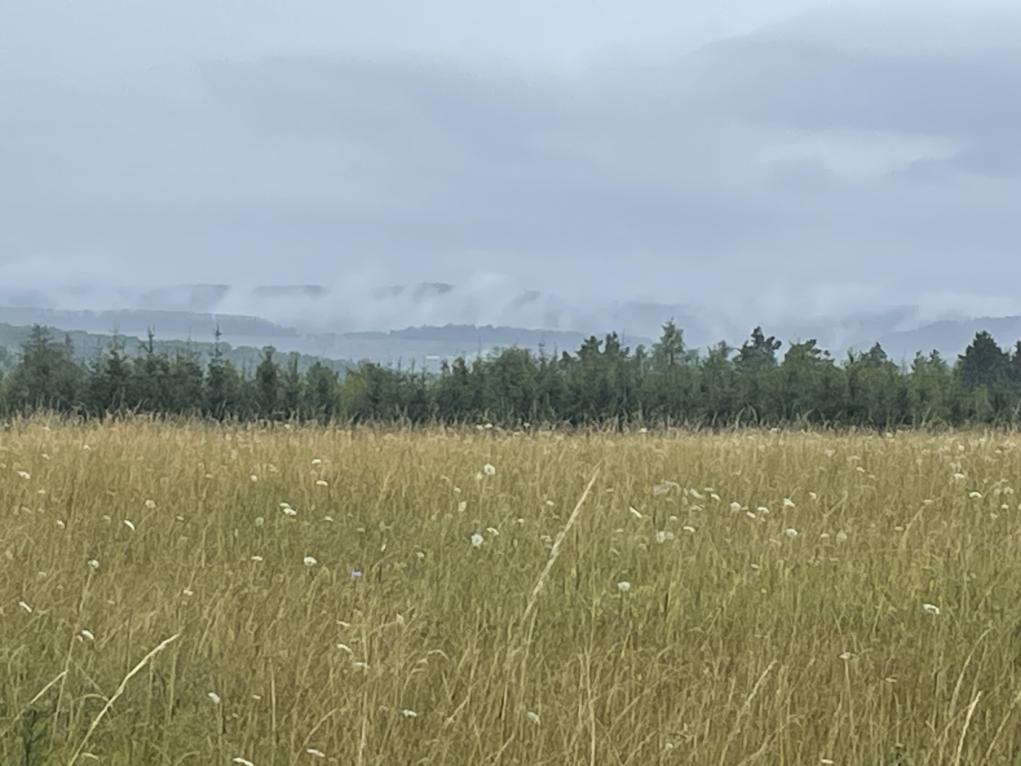 Brittas Wasserkreislauf