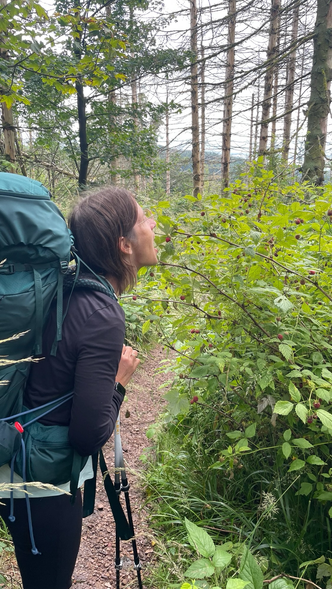 Tag 10 des Wanderabenteuers