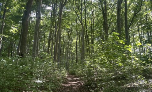 Tag 14 des Wanderabenteuers