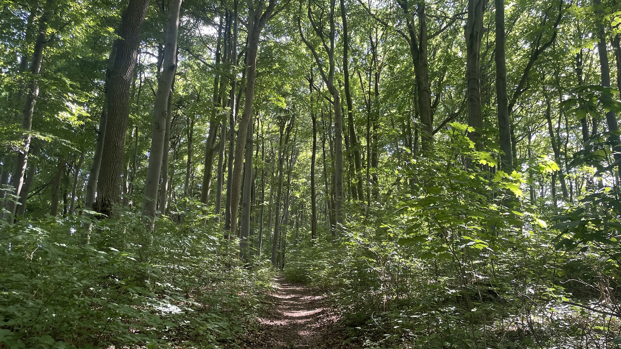 Tag 14 des Wanderabenteuers