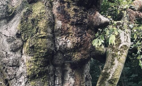 Tag 19 des Wanderabenteuers