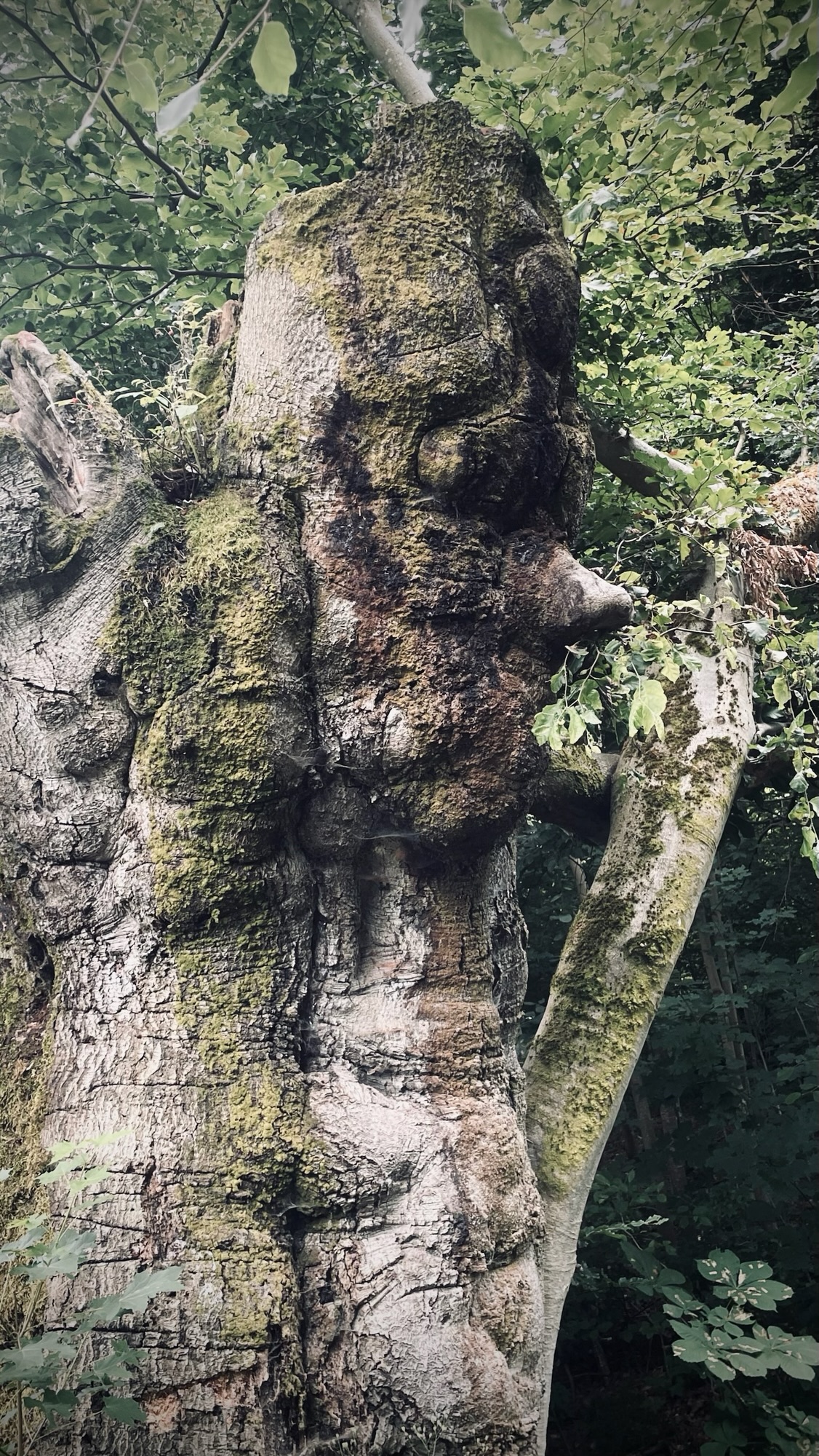 Tag 19 des Wanderabenteuers