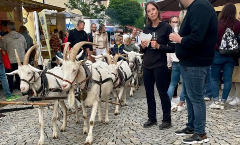 Tag 54 und 55 des Wanderabenteuers