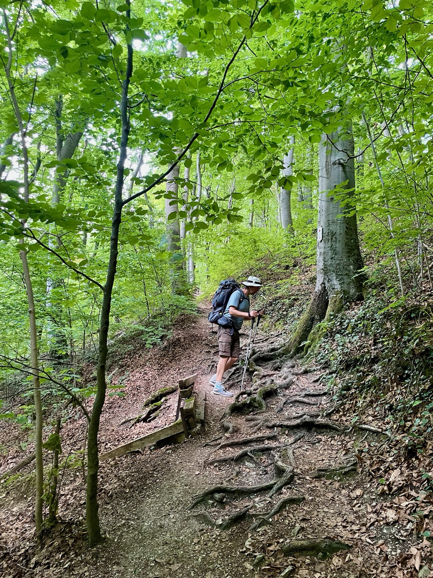 Tag 40 des Wanderabenteuers