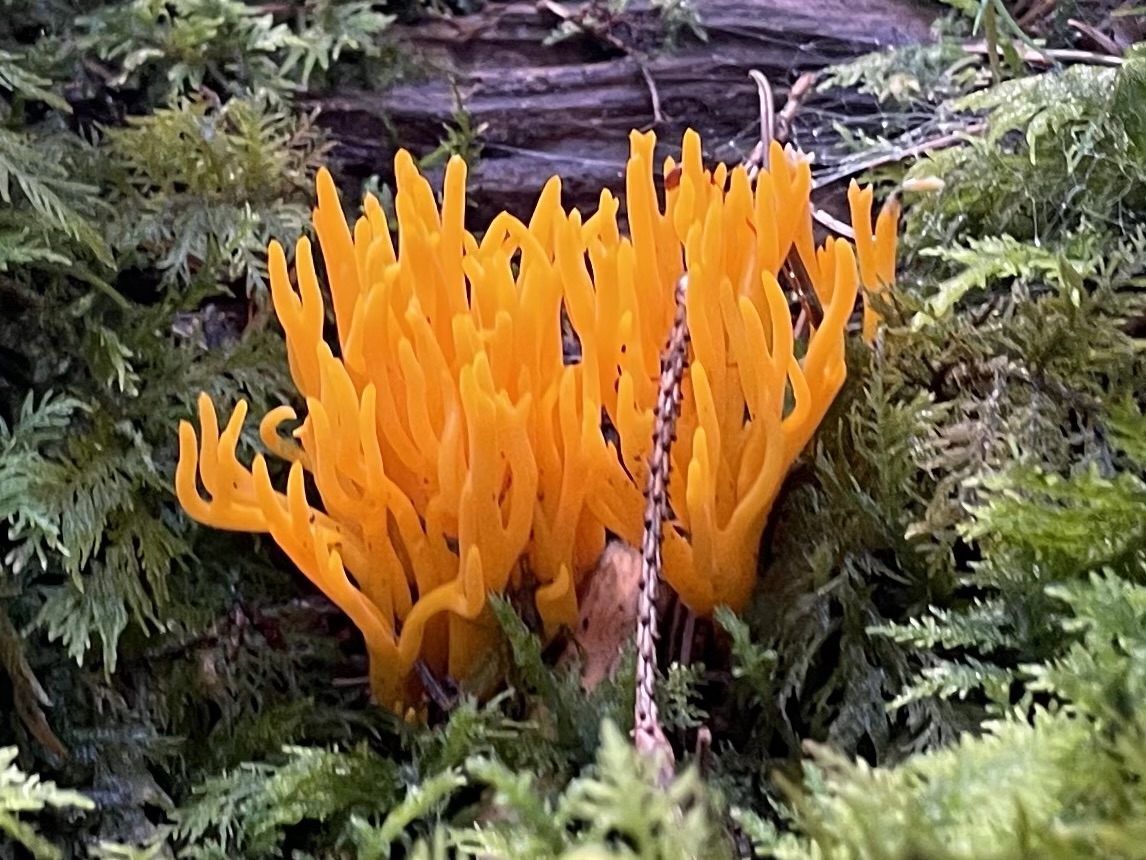 Brittas heutige Weg-Entdeckungen