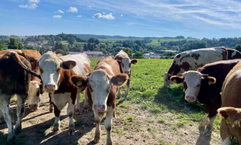 Tag 51 des Wanderabenteuers