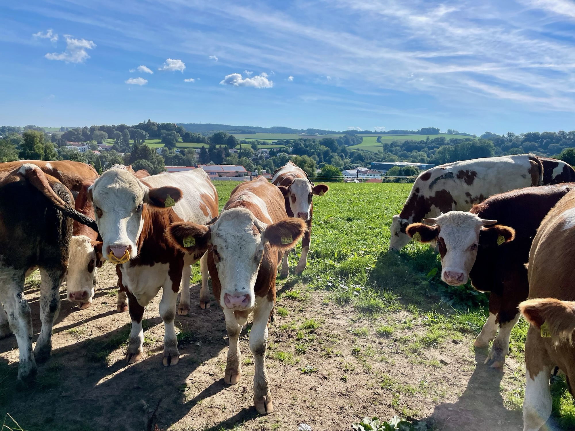 Tag 51 des Wanderabenteuers