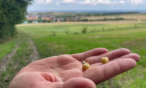 Tag 27 des Wanderabenteuers