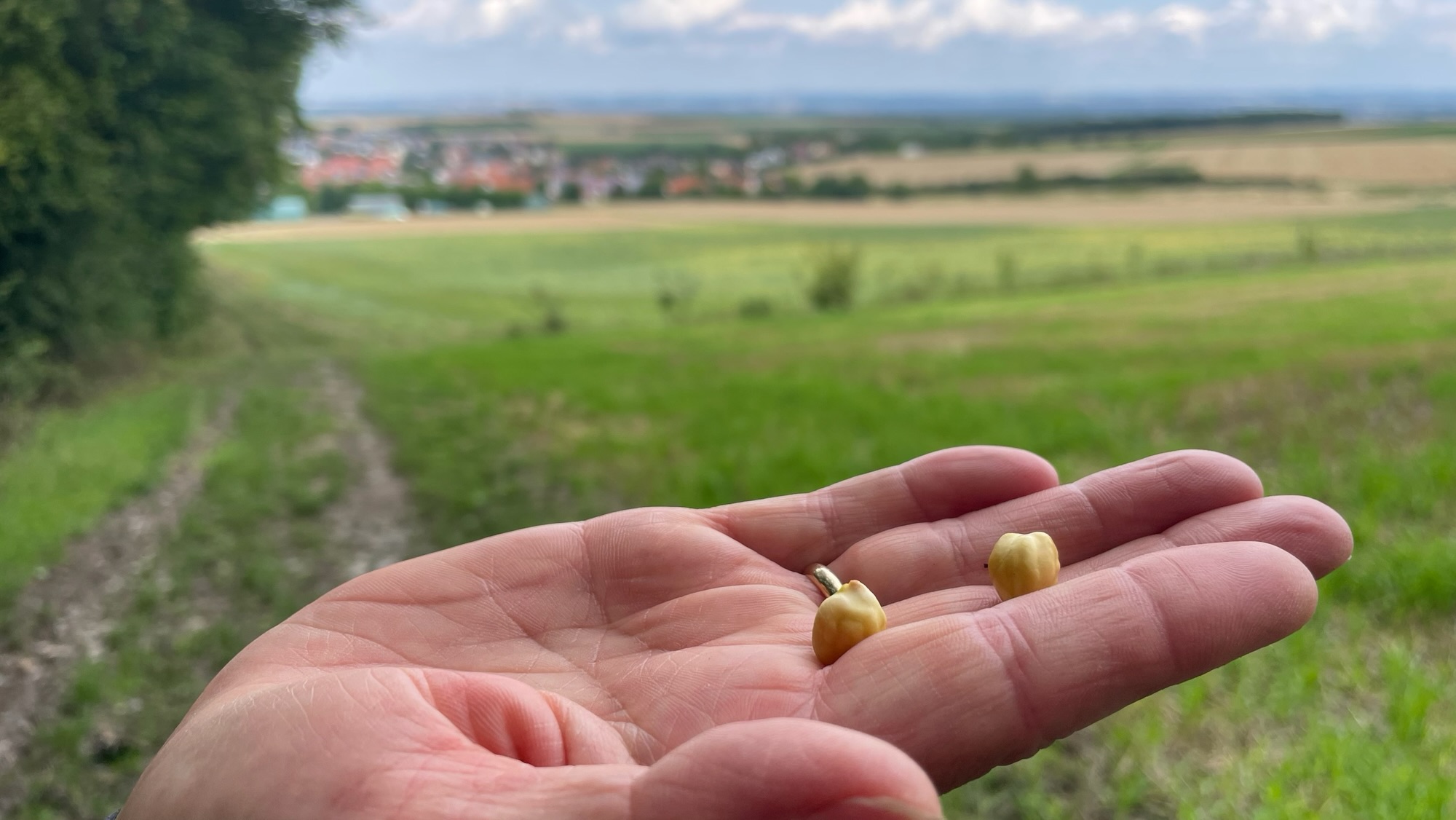 Tag 27 des Wanderabenteuers