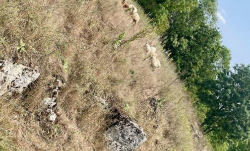 Tag 32 des Wanderabenteuers