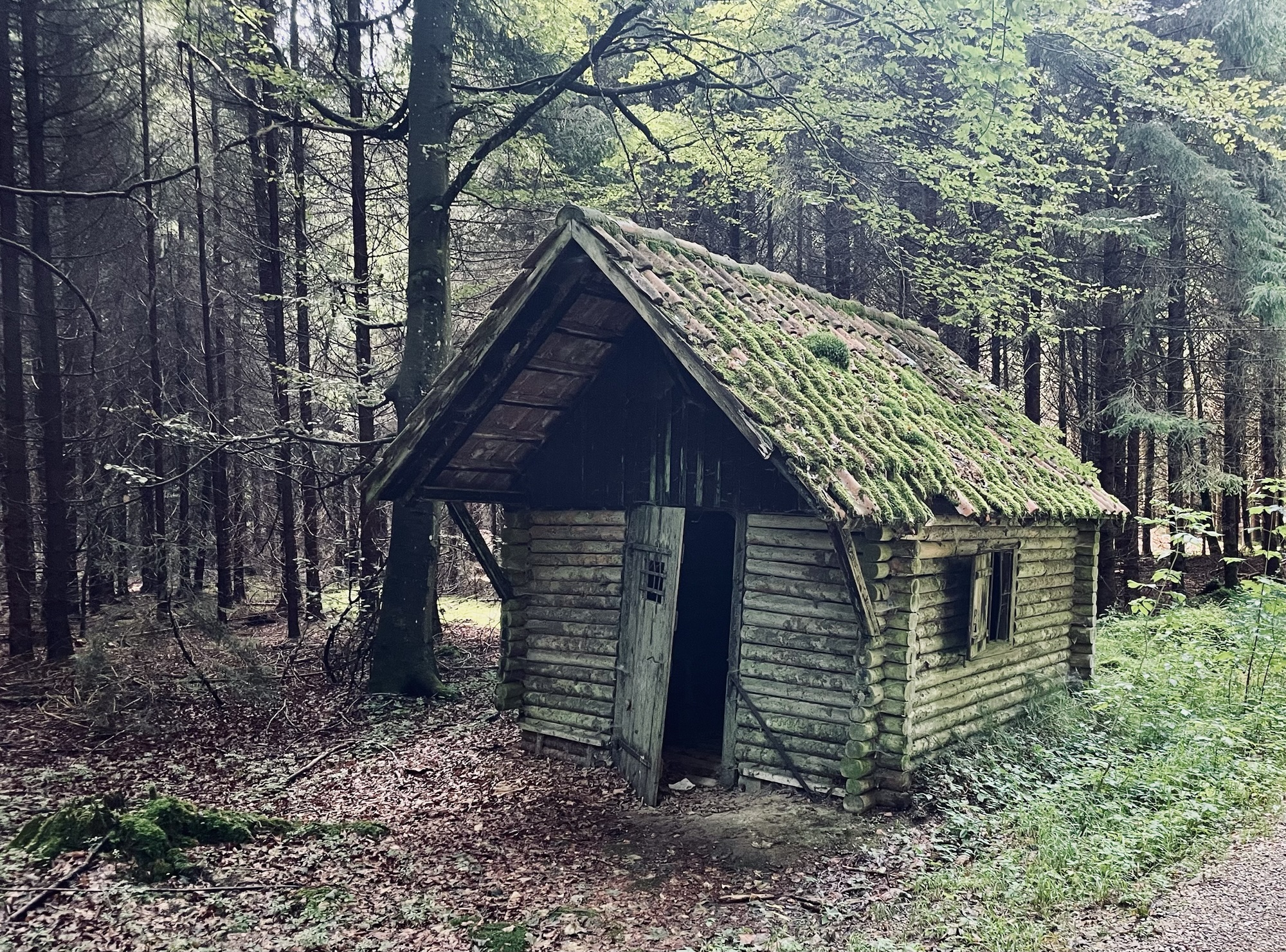 Tag 48 des Wanderabenteuers