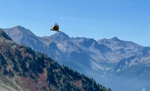 Tag 72 des Wanderabenteuers