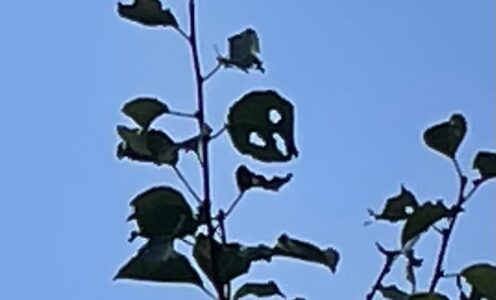 Das Wetter schlägt um