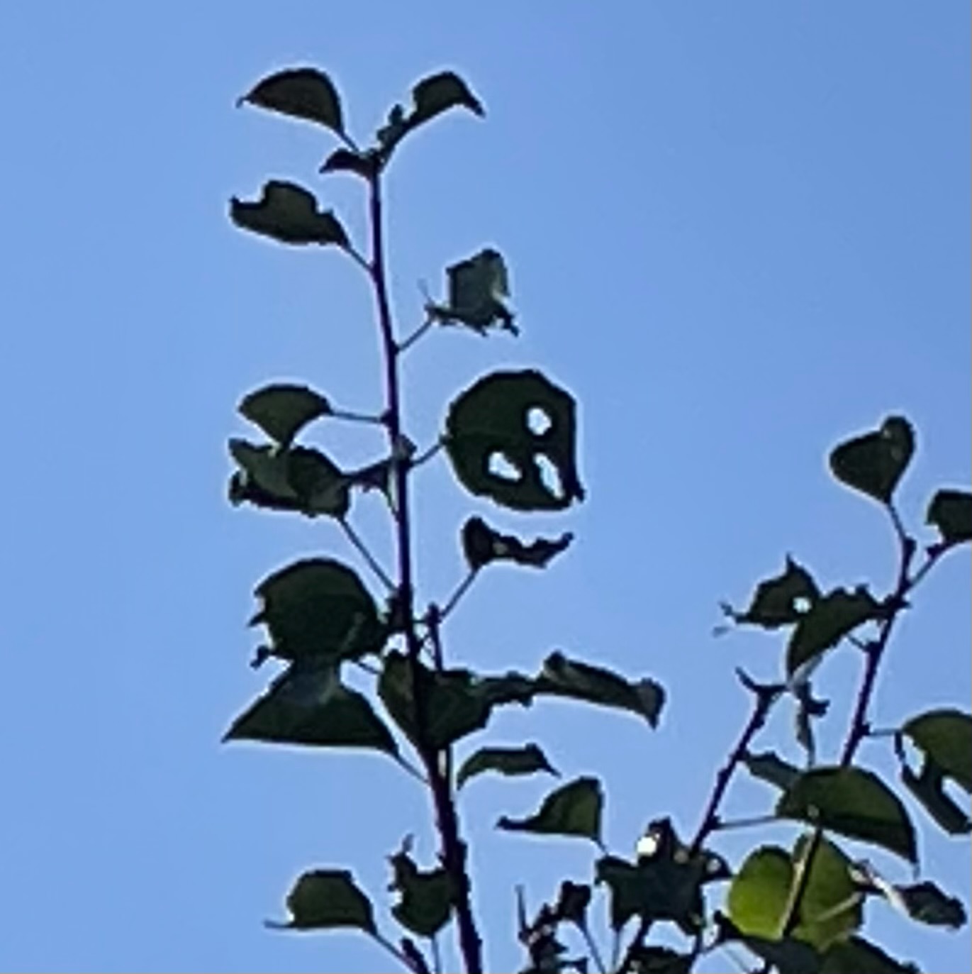 Das Wetter schlägt um