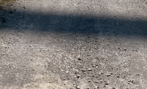 Brittas Weg-Begegnung bei Küllstedt