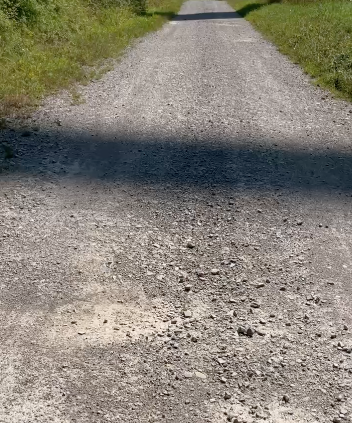 Brittas Weg-Begegnung bei Küllstedt