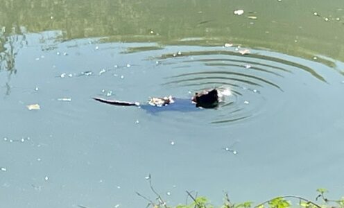 Tag 102 des Wanderabenteuers